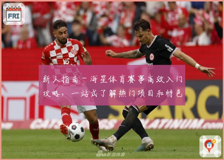 新人指南 - 海星体育赛事高效入门攻略，一站式了解热门项目和特色功能