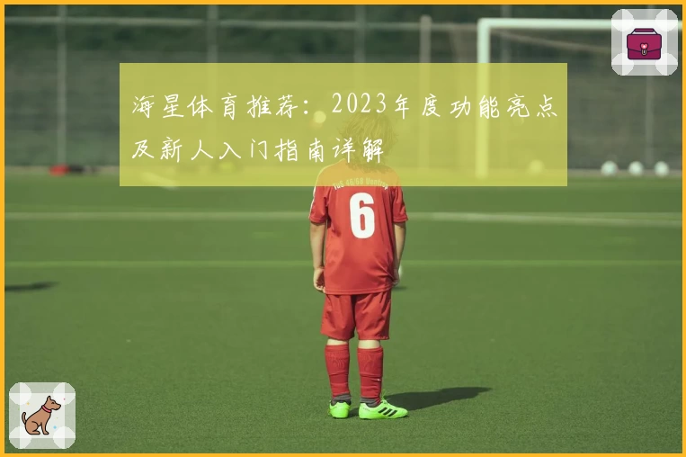 海星体育推荐:2023年度功能亮点及新人入门指南详解