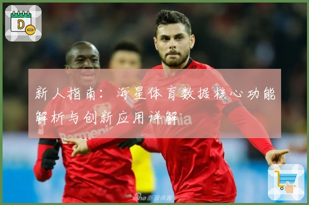 新人指南：海星体育数据核心功能解析与创新应用详解