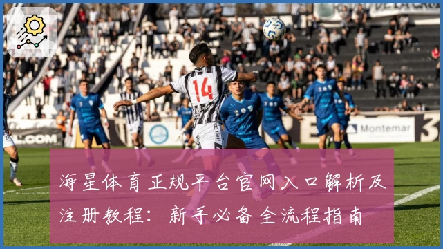 海星体育正规平台官网入口解析及注册教程：新手必备全流程指南